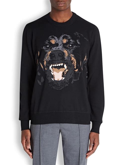 givenchy rottweiler jumper for sale